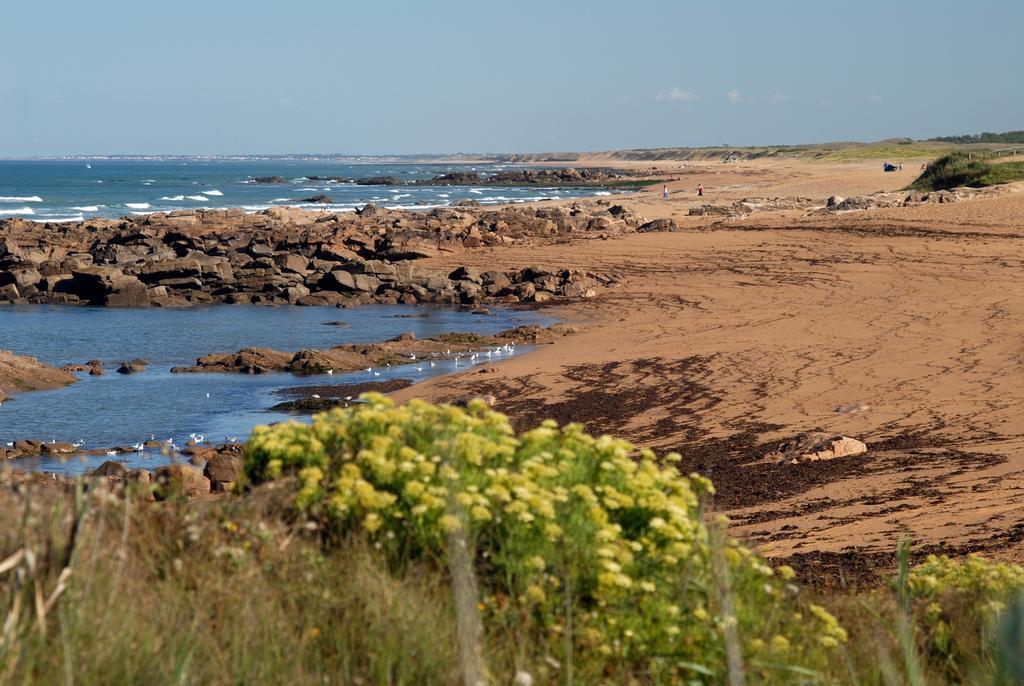 Vacanceole - Les Jardins De L'Amiraute Les Sables-dʼOlonne Exteriör bild